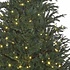 Frasier Fir LED - Blau-Grün - BlackBox künstlicher Weihnachtsbaum