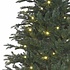 Frasier Fir LED - Blauw-Groen - BlackBox kunstkerstboom