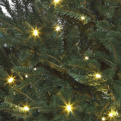 Frasier Fir LED - Blauw-Groen - BlackBox kunstkerstboom