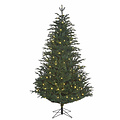 Frasier Fir LED - Blauw-Groen - BlackBox kunstkerstboom