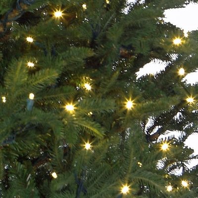 Frasier Fir LED - Grün - BlackBox künstlicher Weihnachtsbaum