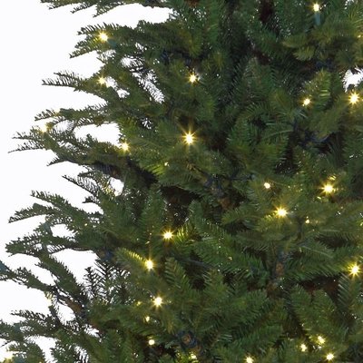 Frasier Fir LED - Groen - BlackBox kunstkerstboom