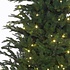 Frasier Fir LED - Groen - BlackBox kunstkerstboom