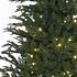 Frasier Fir LED - Grün - BlackBox künstlicher Weihnachtsbaum