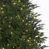 Frasier Fir LED - Grün - BlackBox künstlicher Weihnachtsbaum