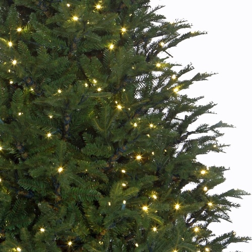 Weihnachtsbaum Frasier Grün 120 cm Black Box Trees