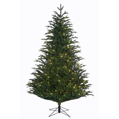 Frasier Fir LED - Grün - BlackBox künstlicher Weihnachtsbaum