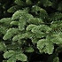 Abies Nordmann DELUXE - Grün - Triumph Tree künstlicher Weihnachtsbaum