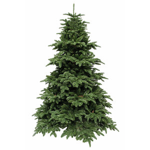 Abies Nordmann DELUXE - Groen - Triumph Tree kunstkerstboom