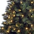 Washington Fir LED - Groen - BlackBox kunstkerstboom