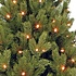 Rocky Mountain LED - Groen - Triumph Tree kunstkerstboom