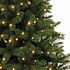 Forest Frosted Pine LED - Groen - Triumph Tree kunstkerstboom