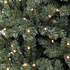 Forest Frosted Pine Newgrowth LED - Blauw - Triumph Tree kunstkerstboom