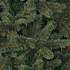 Toronto Fir - Groen - BlackBox kunstkerstboom