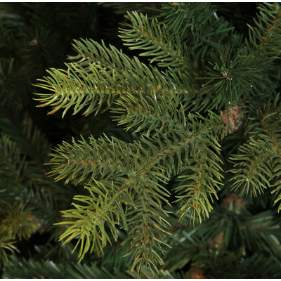 Dunville Pine - Grün - BlackBox künstlicher Weihnachtsbaum