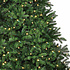 Brampton Spruce LED - Groen - BlackBox kunstkerstboom