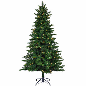 Milton Spruce LED - Grün - BlackBox künstlicher Weihnachtsbaum