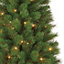 Winston LED - Groen - BlackBox kunstkerstboom