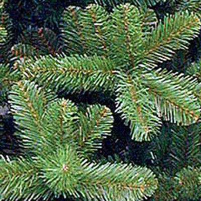 Norway Spruce - Grün - Triumph Tree künstlicher Weihnachtsbaum
