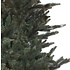 Macallan Pine - Blauw - BlackBox kunstkerstboom