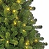 Charlton LED Slim - Groen - BlackBox kunstkerstboom