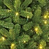 Charlton LED Slim (schmal) - Grün - BlackBox künstlicher Weihnachtsbaum