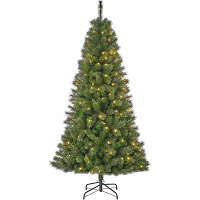 Medford LED - Grün - BlackBox künstlicher Weihnachtsbaum