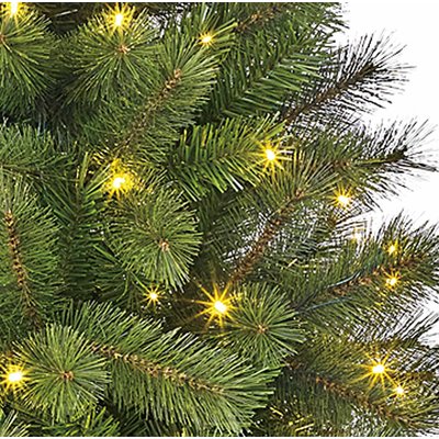 Medford LED - Grün - BlackBox künstlicher Weihnachtsbaum