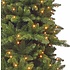 Benton LED - Grün - Triumph Tree künstlicher Weihnachtsbaum