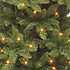 Benton LED - Groen - Triumph Tree kunstkerstboom