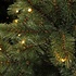 Forest Frosted Pine Slim (schmal) LED - Grün - Triumph Tree künstlicher Weihnachtsbaum