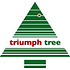 Forest Frosted Pine Slim (smal) - Groen - Triumph Tree kunstkerstboom