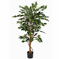 Kunstplant Ficus Benjamina Groen - H 150cm - Kunststof pot - Mica Decorations