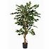 Künstliche Pflanze Ficus Benjamina Grün - H 150cm - Plastiktopf - Mica Decorations