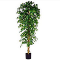 Kunstplant Ficus Benjamina Groen - H 210cm - Kunststof pot - Mica Decorations