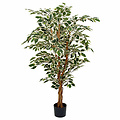 Kunstplant Ficus Hawaii Groen-bont - H 150cm - Kunststof pot - Mica Decorations