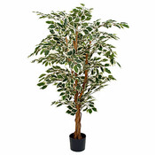 Künstliche Pflanze Ficus Hawaii Grün-bunt - H 150cm - Plastiktopf - Mica Decorations