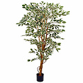 Künstliche Pflanze Ficus Hawaii Grün-bunt - H 180cm - Plastiktopf - Mica Decorations