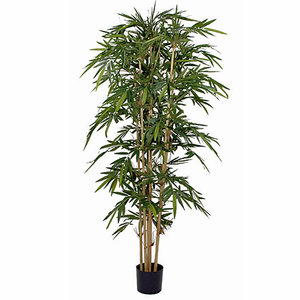 Künstliche Pflanze Bambus Grün - H 210cm - Kunststofftopf - Mica Decorations