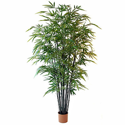 Künstliche Pflanze Bambus Grün - H 210cm - Kunststofftopf - Mica Decorations