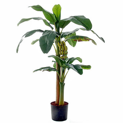Künstliche Pflanze Bananenbaum Grün - H 150 cm - Kunststofftopf - Mica Decorations