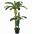 Kunstplant Bananenboom Groen - H 180cm - Kunststof pot - Mica Decorations