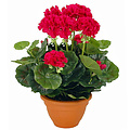 Kunstplant Geranium Donkerroze - H 38cm - Keramiek sierpot - Mica Decorations