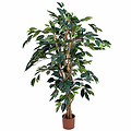 Kunstplant Ficus Benjamina Groen - H 110cm - Kunststof pot - Mica Decorations