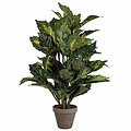 Kunstplant Aucuba Groen - H 65cm - Keramiek sierpot - Mica Decorations