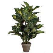 Künstliche Pflanze Aucuba Grün - H 65cm - Keramiktopf - Mica Decorations