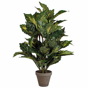 Kunstplant Aucuba Groen - H 65cm - Keramiek sierpot - Mica Decorations