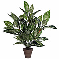 Kunstplant Dieffenbachia Groen - H 70cm - Keramiek sierpot - Mica Decorations