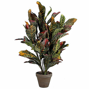 Künstliche Pflanze Croton Grün - H 73cm - Keramiktopf - Mica Decorations