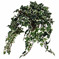 Künstliche Pflanze Efeu Grün-bunt - L 45cm - Keramiktopf - Mica Decorations